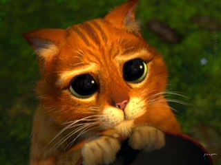 Андрей Головков | Москва