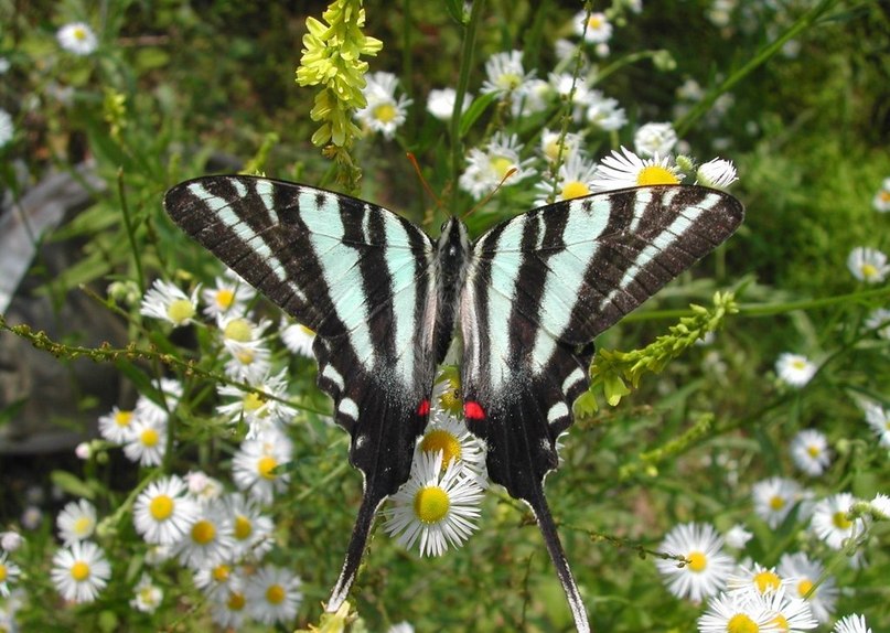 Татьяна Котова | Москва
