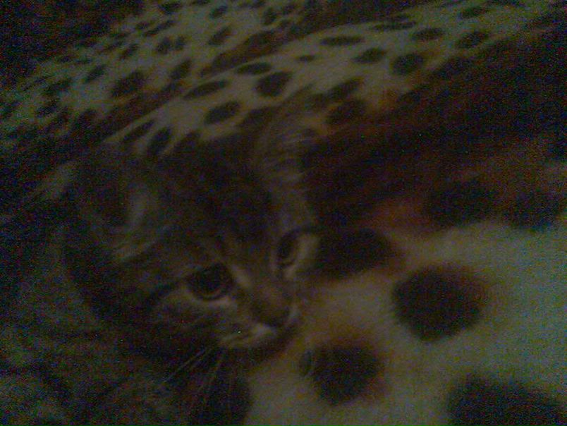 №6, Сергей Лунин, 38 лет, Арзамас №6, Сергей Лунин, 38 лет, Арзамас