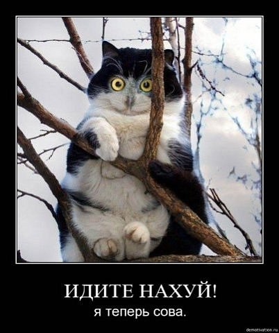 Александр Дороднов | Николаев