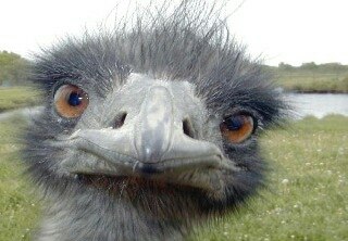 Рома Маркус | Уфа