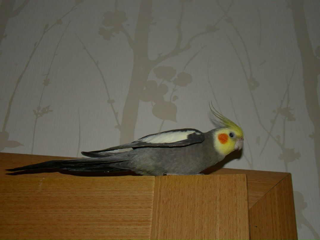 Анна Савельева | 