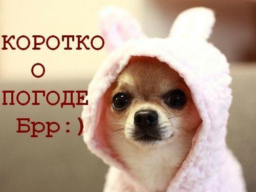 Марина Петряева | Санкт-Петербург