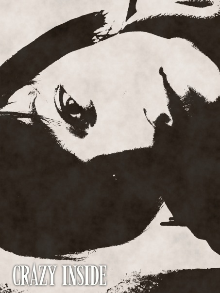 №17, Максим Майков, Давид-Городок №17, Максим Майков, Давид-Городок