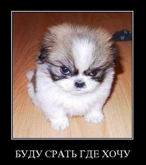 Алексей Ткачев ツ | Петрозаводск