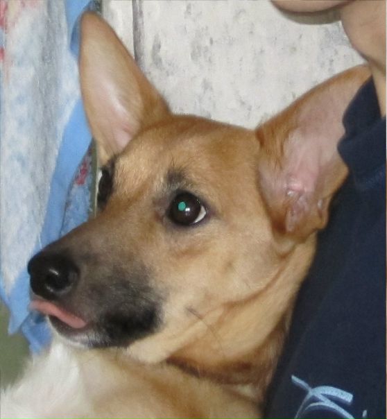 №14, Дмитрий Гаврилович, 37 лет, Минск №14, Дмитрий Гаврилович, 37 лет, Минск