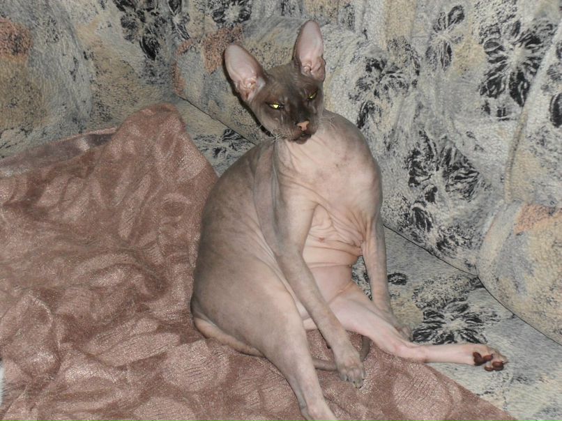 Andrei Kornev | Рыбинск