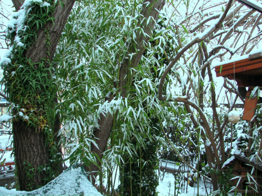 Natalia Mychaylychyn | Киев