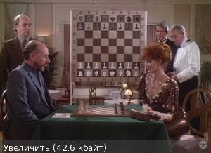 №41, Евгения Синичкина, Санкт-Петербург №41, Евгения Синичкина, Санкт-Петербург