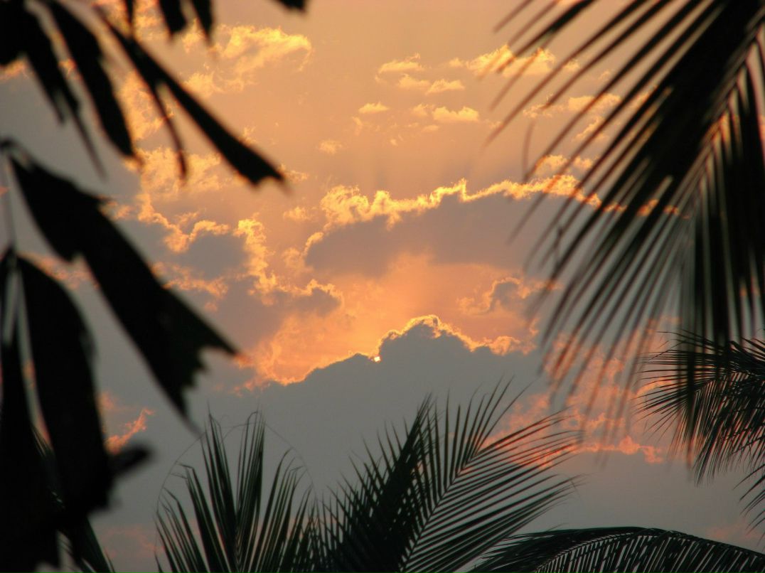 Инна Ильяева | Истра