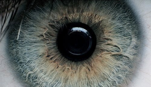 Иван Щеглов | 