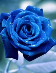 №32, Серёга Клещёв, Казань №32, Серёга Клещёв, Казань