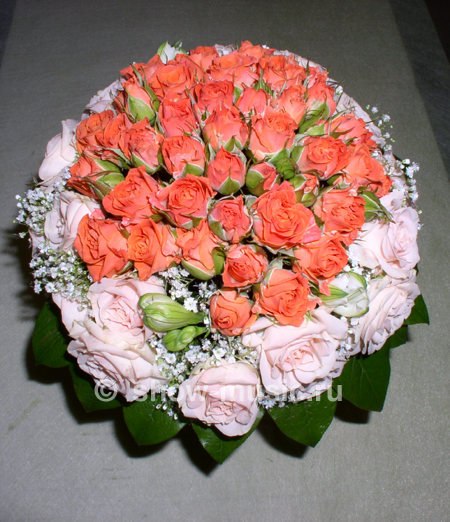 Александра Ларина | Новосибирск