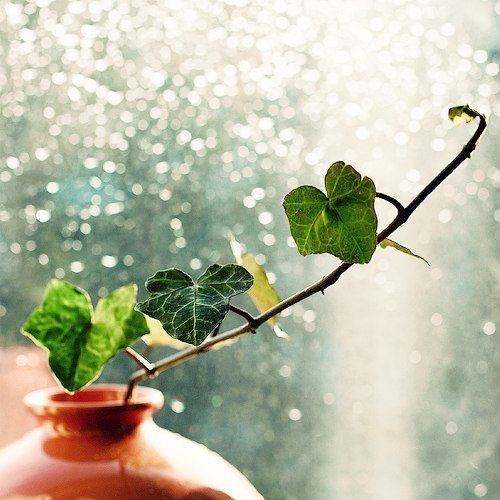 Татьяна Аверьянова | Москва