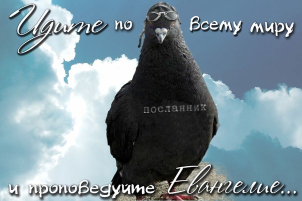 Илья Дзвонковский | Сергиев Посад