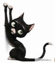 Юля Шишкинская ♥♥♥  ツ | Киев