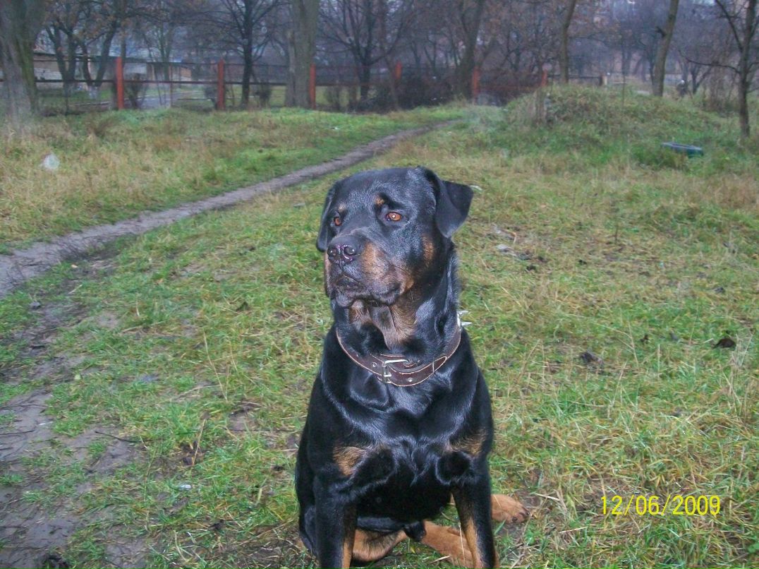 Серёга Капустин | Кропивницкий / Кировоград