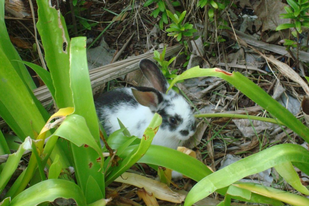 Вера Колесник | Братск