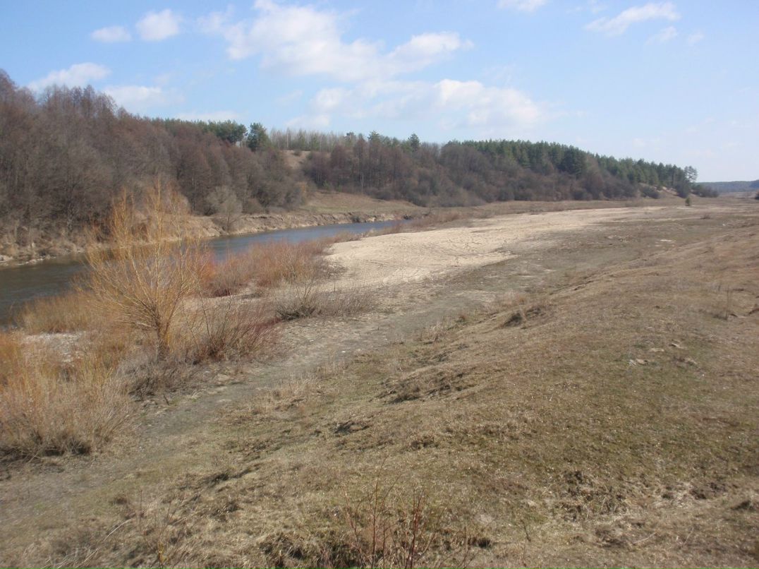 Борис Блаженний | Киев