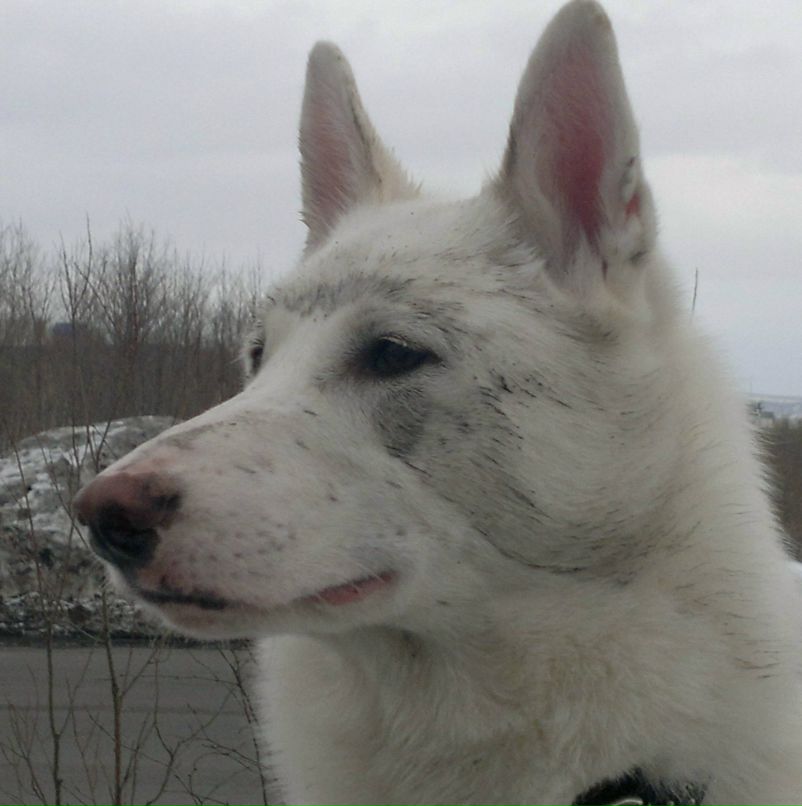 Андрей Кротенко | Петропавловск-Камчатский