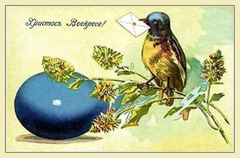 Никита Давыдов | Красноярск