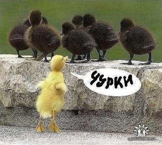 Кирилл Решетников | Волгоград