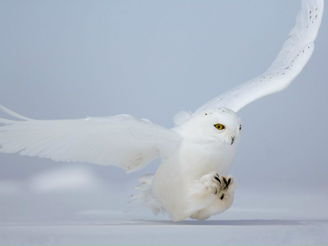 Татьяна Пятаева | Москва