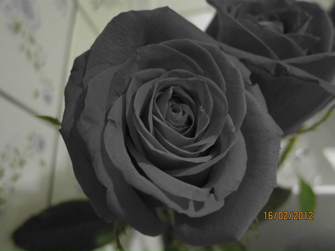 София Фролова | Ялта