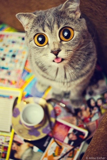 Анатолий Юрьевич | Черновцы