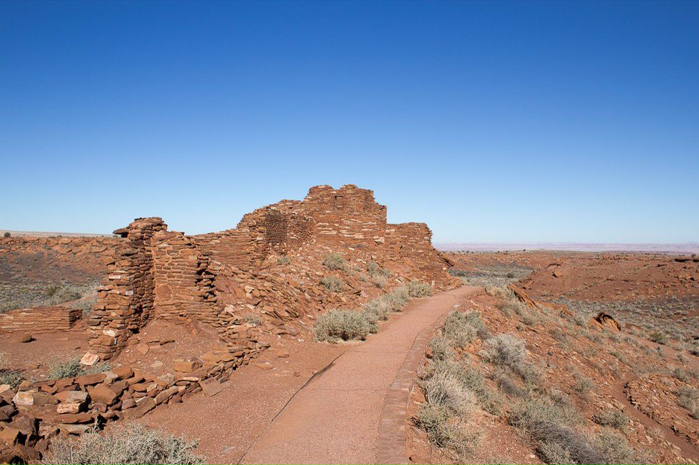 Илья Альбрехт | Phoenix