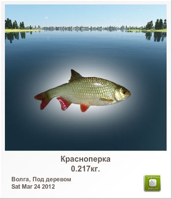 Вова Дубовенков | 