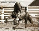 №3 Ангел Жеребец : профиль, фото, статус - ВКонтакте №3 Ангел Жеребец : профиль, фото, статус - ВКонтакте