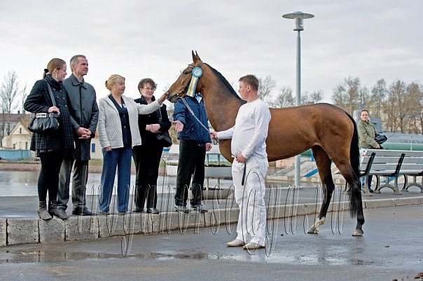 Руслан Бадзюк | Санкт-Петербург
