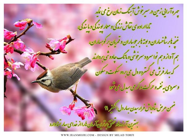 №13, Alireza Samani, 46 лет, Харьков №13, Alireza Samani, 46 лет, Харьков