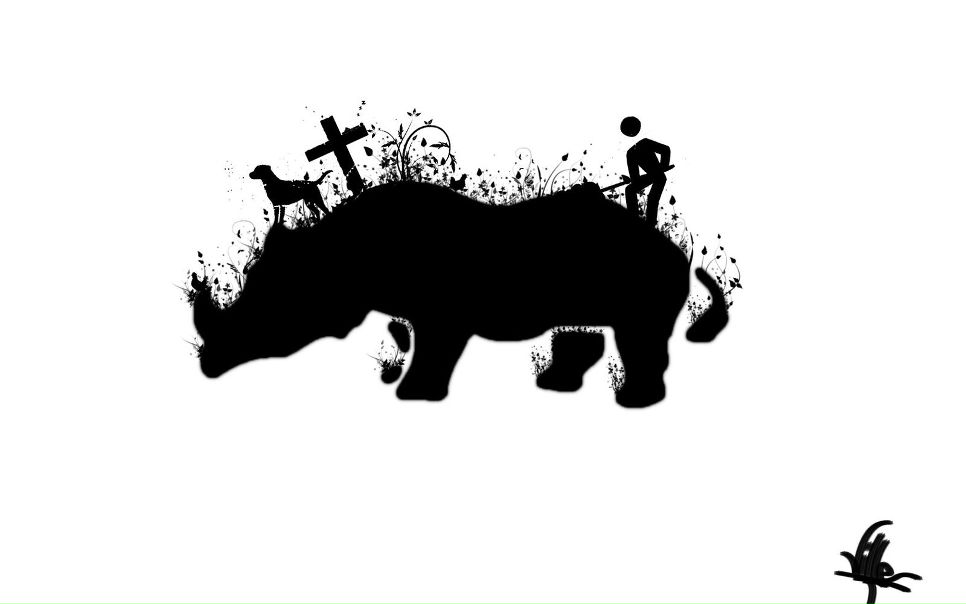 №17, Антоша Кныш, Киев №17, Антоша Кныш, Киев