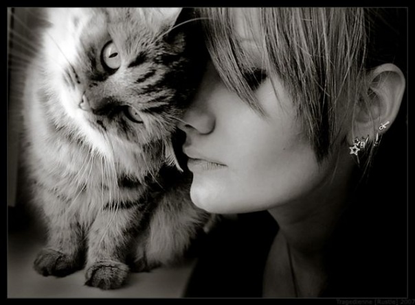 №144, Татьяна Фролова-Ваулина, Москва №144, Татьяна Фролова-Ваулина, Москва