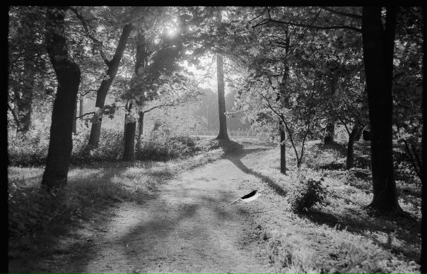 №6, Виктор Шибалов, Санкт-Петербург, Россия №6, Виктор Шибалов, Санкт-Петербург, Россия