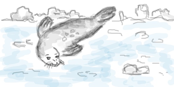 №7, Наиль Сафин №7, Наиль Сафин