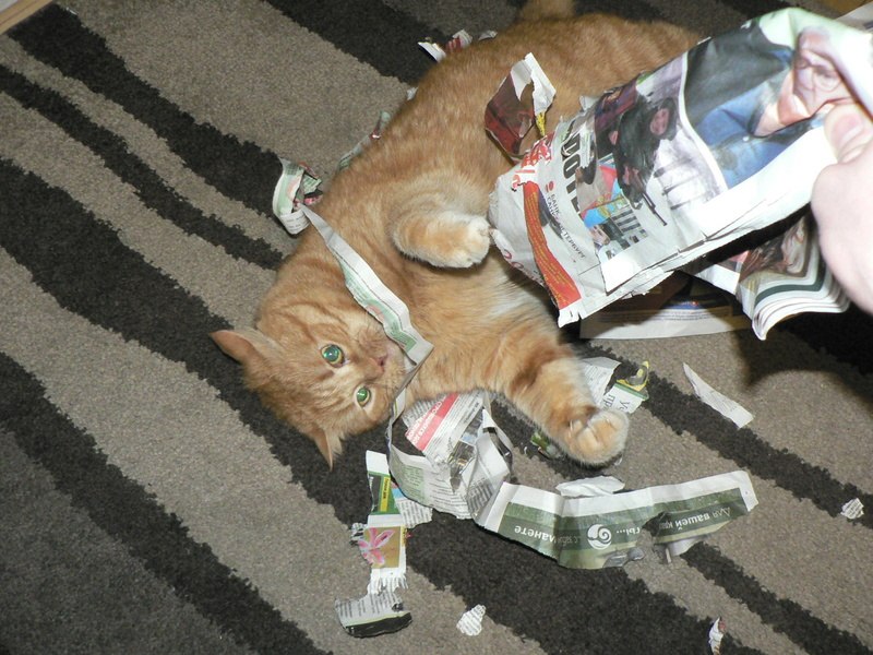 Татьяна Давудова | Санкт-Петербург