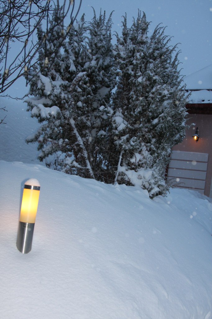 Марина Косенкова | Самара