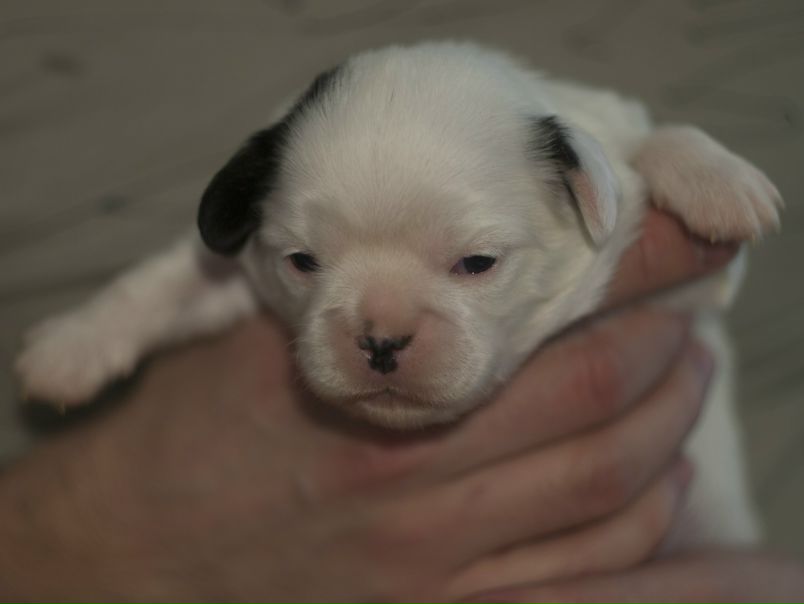 №24, Алексей Костричкин, Санкт-Петербург, Россия №24, Алексей Костричкин, Санкт-Петербург, Россия