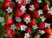 №36 Елена Егорова 13.05.1985: профиль, фото, статус - ВКонтакте