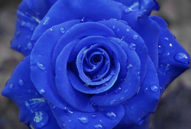 Іванна Тертишна | Одесса