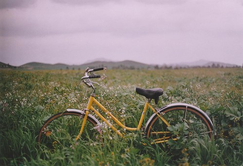 Максим Горький | 