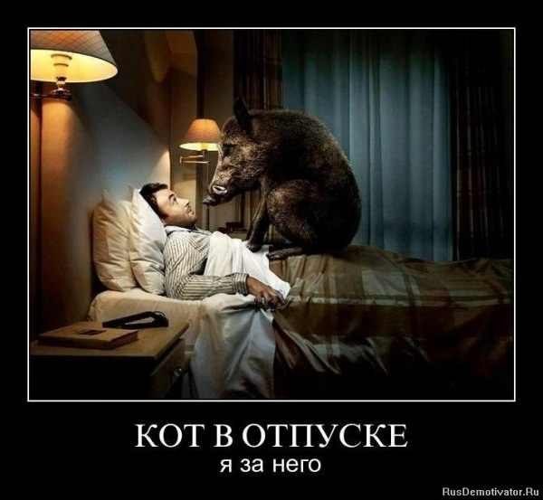 Алексей Раю | 