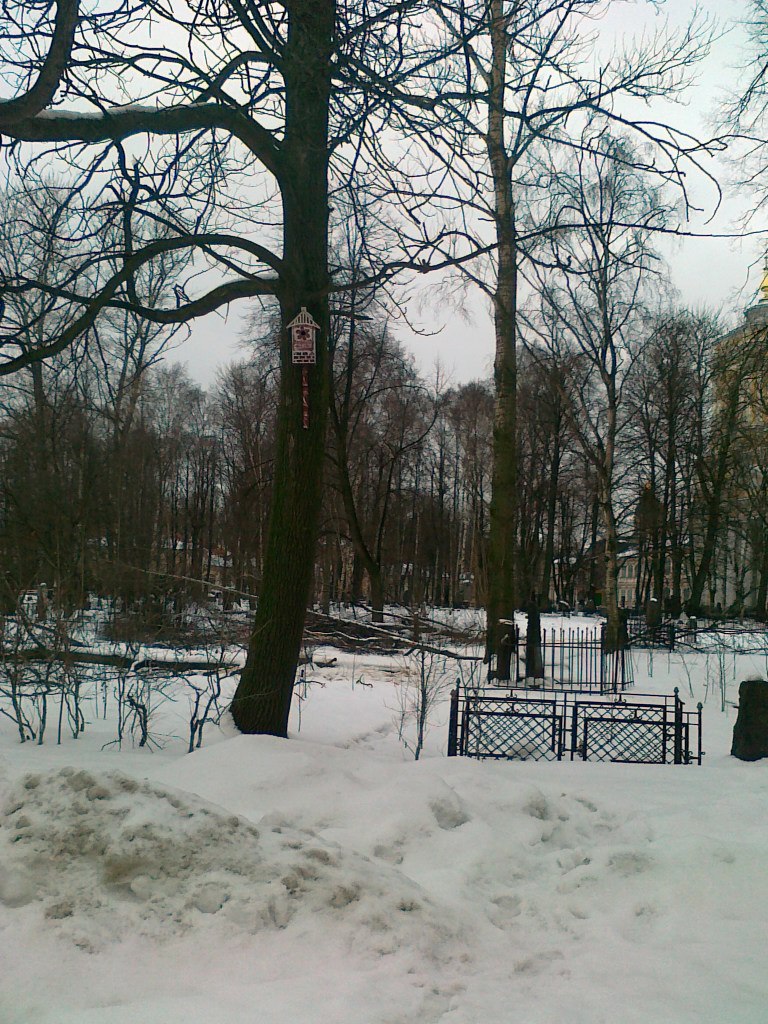 Александр Купаковский | Санкт-Петербург