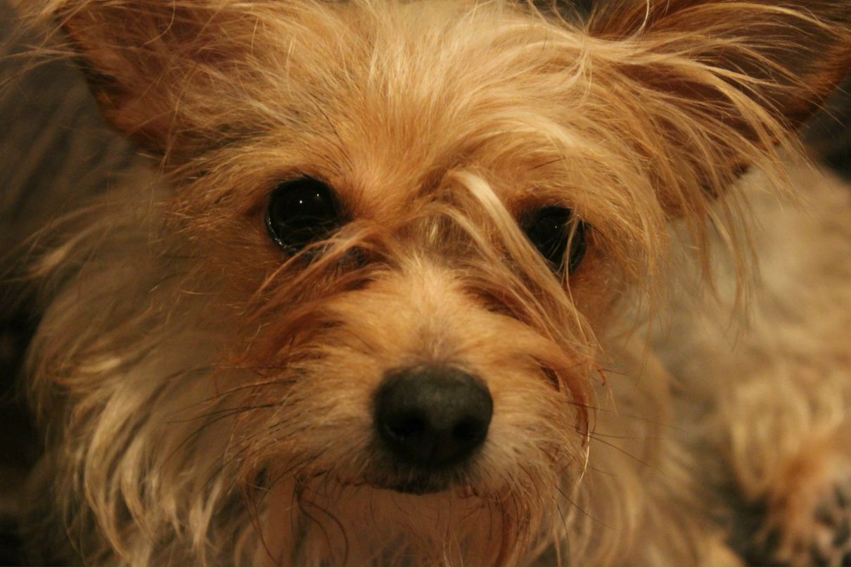 Светлана Порохина | Челябинск