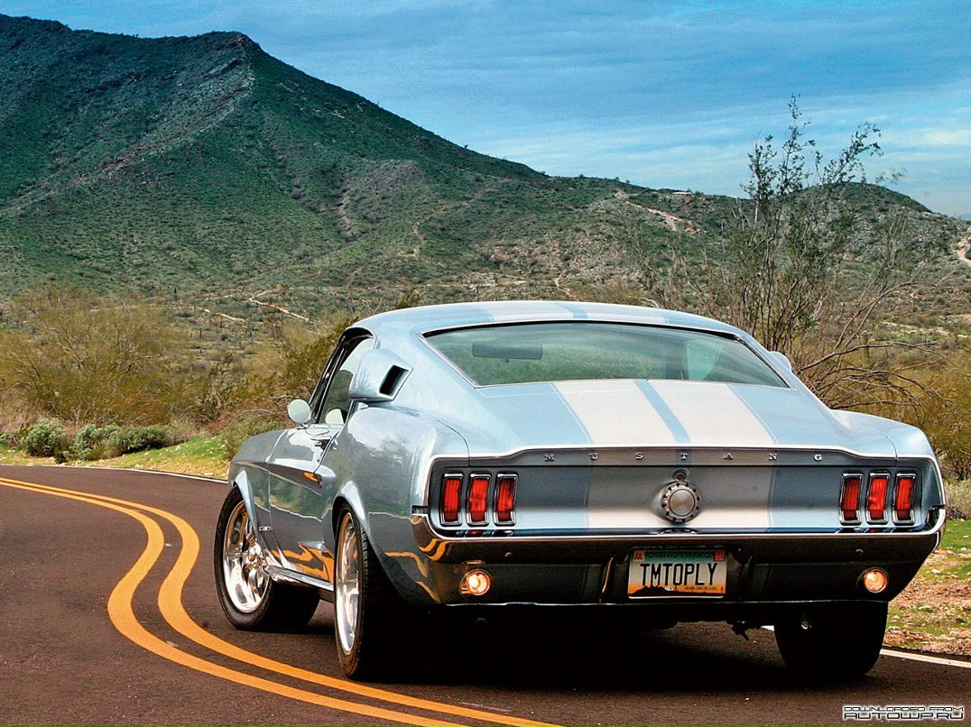 Діма Ендрухін | Ровно