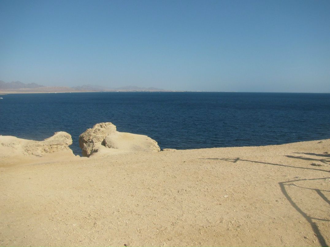 Максим Лукашеня | Барановичи