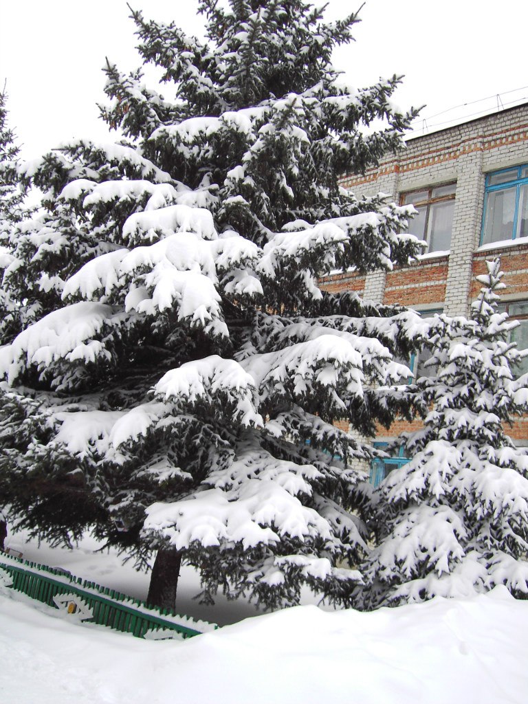 Ряхимя Умярова | Ульяновск